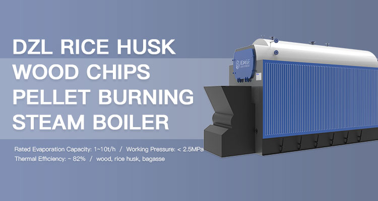 DZL Rice Husk Wood Chips Pellet Burning Steam Boiler